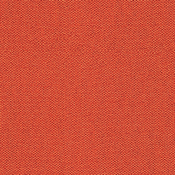 camira-era-cse29.jpg